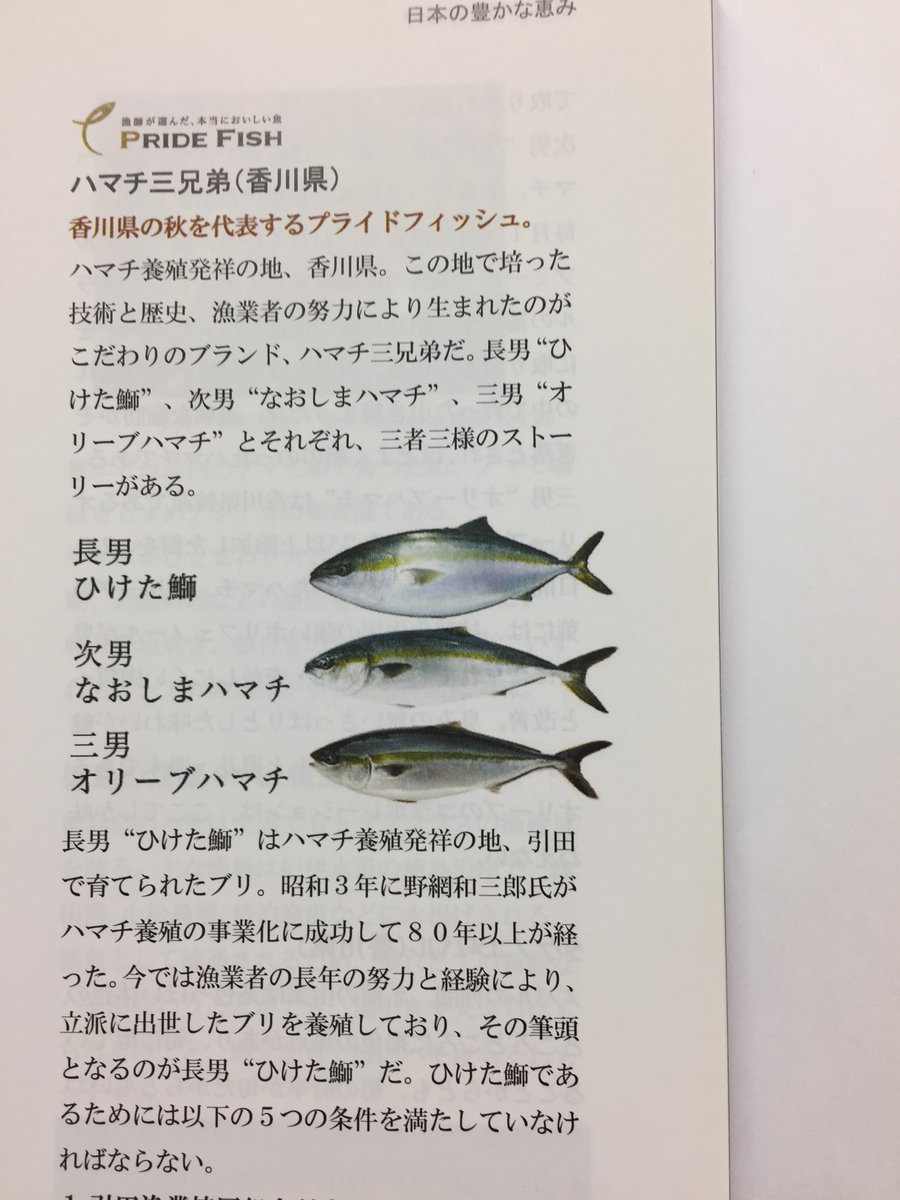 ととけんブリ蔵 日本さかな検定大使 今日は 弟の日 らしいぶり ブリ蔵の仲間 香川県の ひけた鰤 の弟は なおしまハマチ と オリーブハマチ ぶり By 15年版ととけん副読本 ととけん さかな検定 ハマチ三兄弟 香川県 弟の日