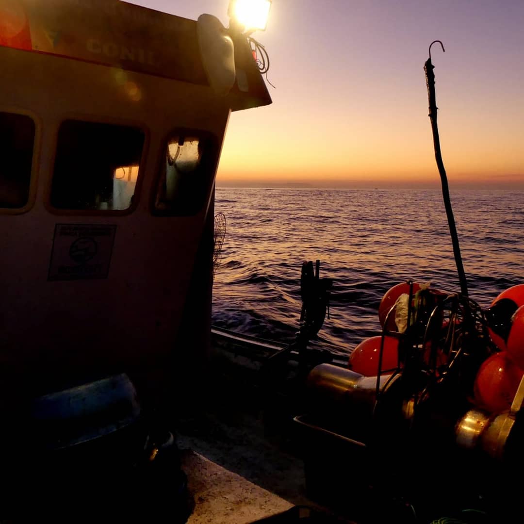 ProyectoEcofish's tweet photo. #Felizviernes desde la #mar.
Queremos proteger nuestro gran tesoro y por eso trabajamos codo con codo con las pesquerías del Golfo de Cádiz, por la sostenibilidad de la gestión de nuestros mares. 
Únete al movimiento Ecofish y síguenos de cerca. 💪🐟🌊
Fotografias:Juan Ramírez. https://t.co/BvFnkFWOD6