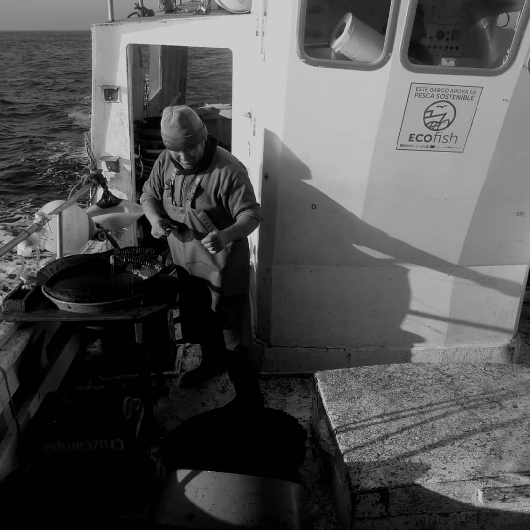 ProyectoEcofish's tweet photo. #Felizviernes desde la #mar.
Queremos proteger nuestro gran tesoro y por eso trabajamos codo con codo con las pesquerías del Golfo de Cádiz, por la sostenibilidad de la gestión de nuestros mares. 
Únete al movimiento Ecofish y síguenos de cerca. 💪🐟🌊
Fotografias:Juan Ramírez. https://t.co/BvFnkFWOD6