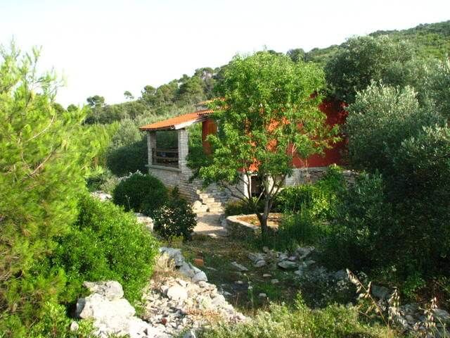 CroaziaInfo's tweet image. Casa pescatori a Dugi Otok 168 buff.ly/2uyYSwy
Qualche idea per la vacanza in Croazia 4/10