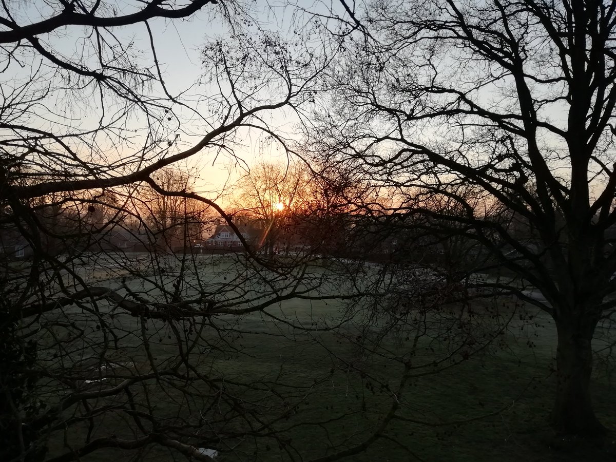 Radley College Geography tweet media