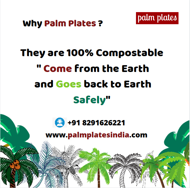 Why Palm Plates? What are the Benefits They are 100% Compostable, " Comes from the Earth and goes back to Earth Safely

Call us now:- +91 8291626221

Visit:- palmplatesindia.com

#savetheanimals #nature #disposableplates #weddingplates #thanksgivingplates  #Palmplatesindia