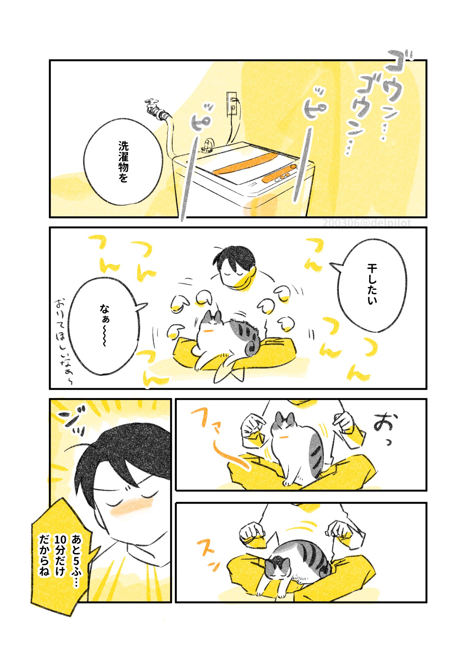 ふじひと 太陽浴びた猫の温かさに春を感じています