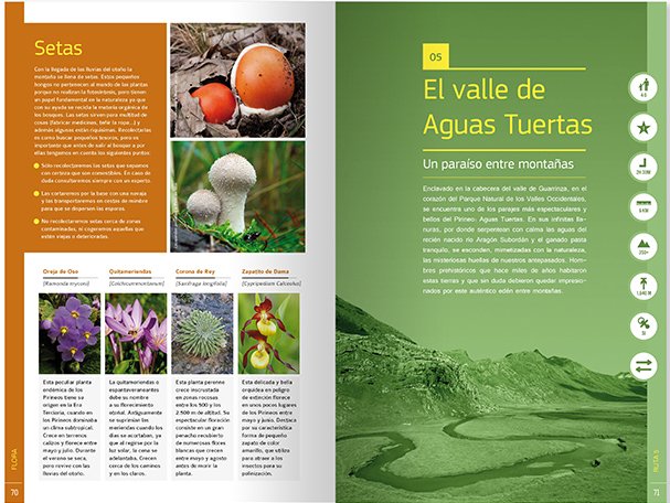 editorialxplora's tweet photo. Descubre todos los encantos del Pirineo aragonés para disfrutar en familia en esta completa guía elaborada por @wildkids_es

✳️ Rutas con niños en el Pirineo aragonés ✳️

https://t.co/FVhBney6z4 https://t.co/RZn1sgO9CJ