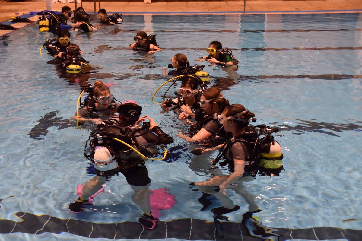 StSwithunsBoard's tweet photo. Thank you to @OceanTurtleDive for an excellent evening @StSwithunsGirls upside down underwater egg and spoon racing should be an Olympic sport! #iloveboarding #stswithunsiswhoweare https://t.co/zwxDzdAvyL