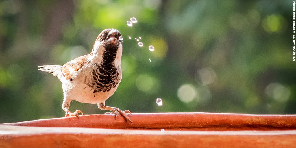 PETA India on Twitter: PETA India on Twitter:
