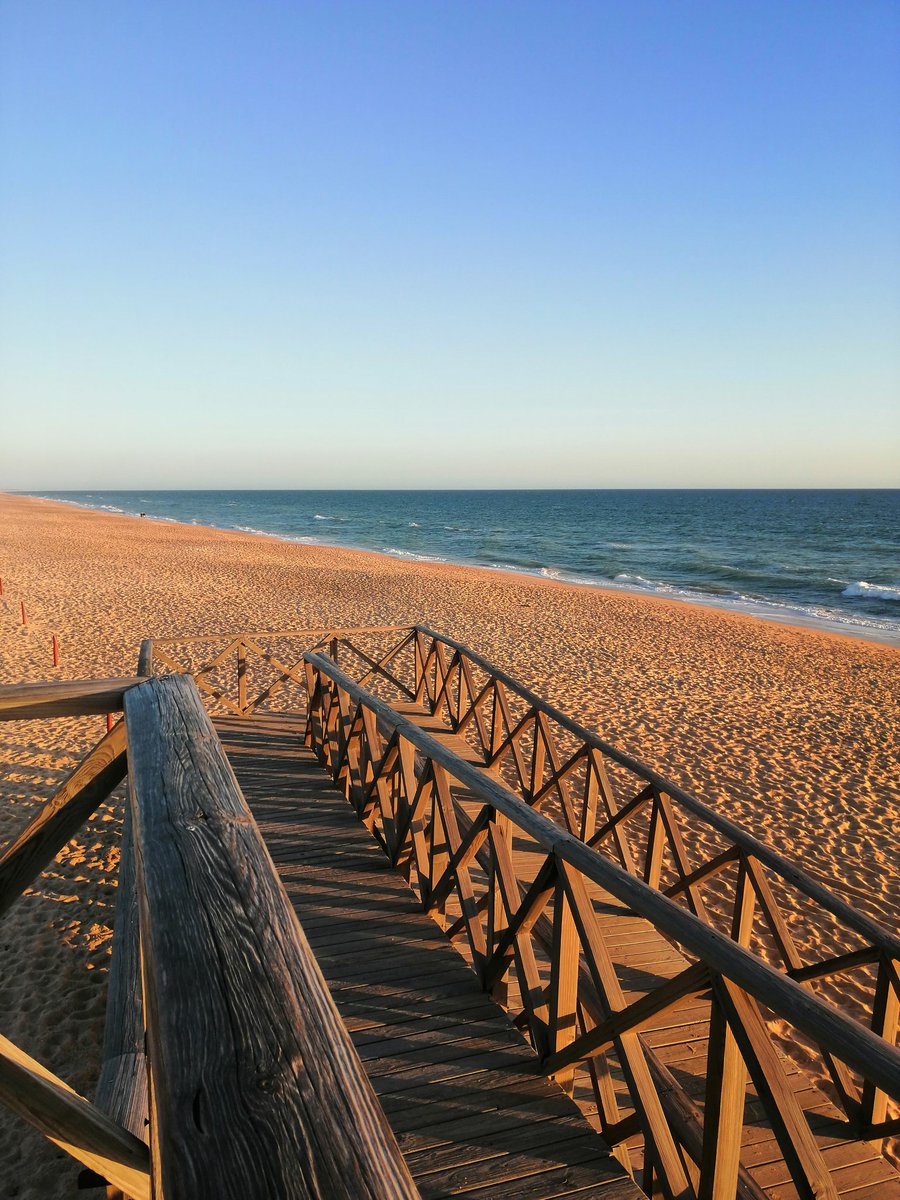 Yoana Dimitrova tweet media