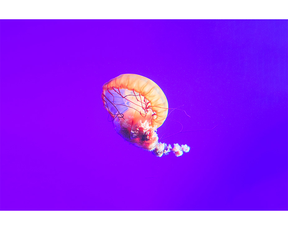 Want to learn how to make colours really pop? Or how to superimpose objects onto other objects? Being able to use photoshop is like a superpower. Our Photoshop class is a week today with Mikael Eliasson! Book now via our website, link in bio 👆