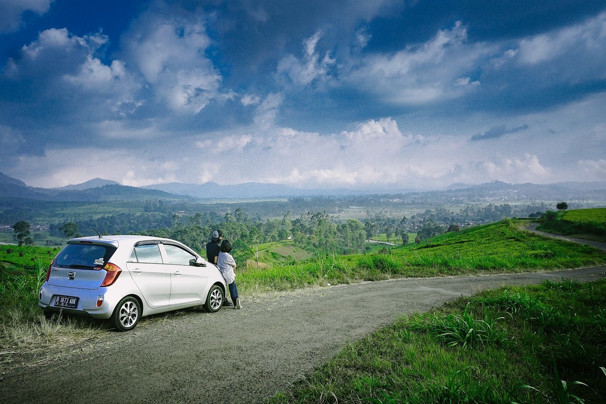 Affordable Car Hire tweet media