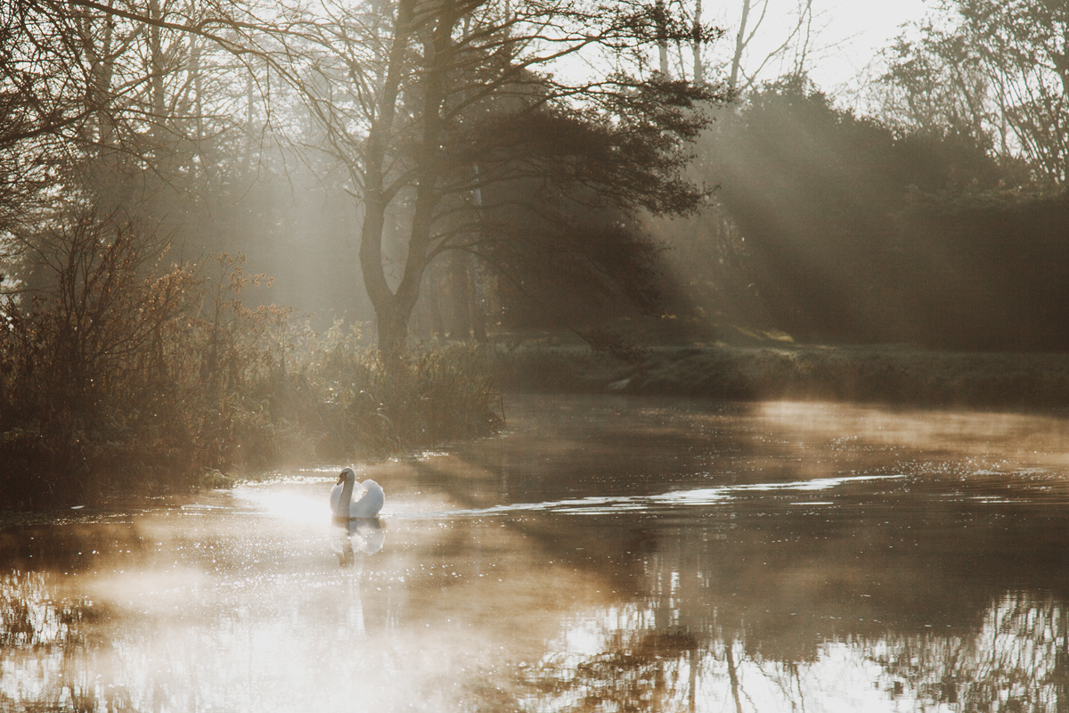 Broads National Park tweet media