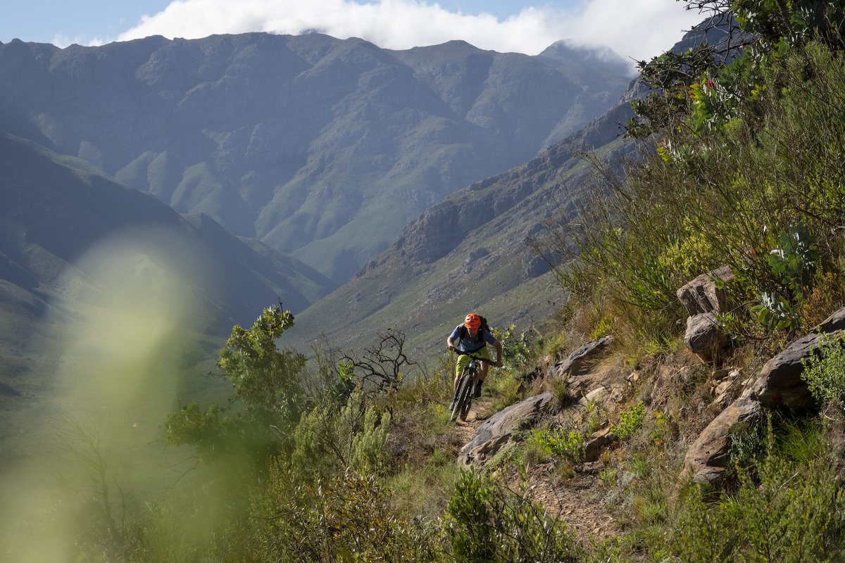 capevelo's tweet photo. Every day is a good day to ride your bike in Stellenbosch! 

Book a guided, private tour of Jonkershoek Nature Reserve: https://t.co/qcM64dw2hv

📷: Epic shot by @benhaggarphoto  @bigmtnglobal https://t.co/2SqRC3NnKi