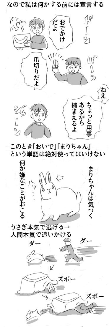 ぶきような人間がうさぎと仲良くなりたい話

#じぶんの話 #うさぎ 