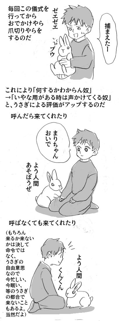 ぶきような人間がうさぎと仲良くなりたい話

#じぶんの話 #うさぎ 