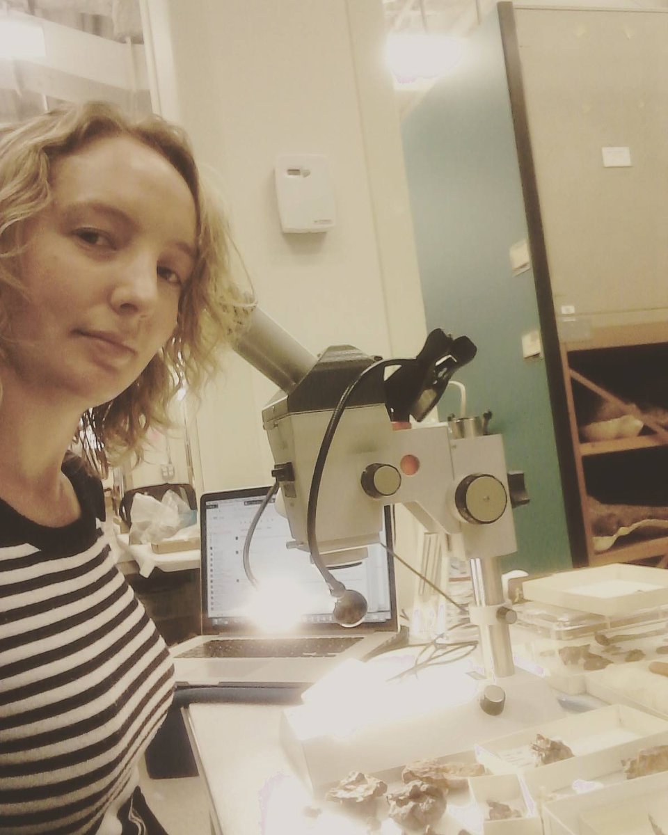 ESI (@esi_fossillab) on Twitter photo Well done to <a href="/katpalaeo/">Kathleen Dollman</a> for submitting her PhD dissertation on the Early Jurassic crocs of Southern Africa! Well done to <a href="/katpalaeo/">Kathleen Dollman</a> for submitting her PhD dissertation on the Early Jurassic crocs of Southern Africa!