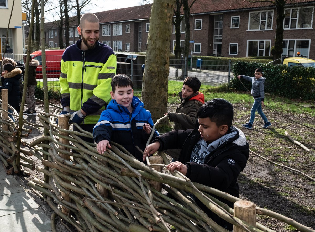 Gemeente_Lwd's tweet photo. Gisteren werkte de Buitendienst samen met leerlingen van  OBS De Plataanschool. Ze maakten schermen van wilgentakken. Zo zijn de wilgen klaar voor het nieuwe jaar, krijgt het schoolplein een make-over én hebben de leerlingen een actieve dag.💪 https://t.co/YVDLTGZMul