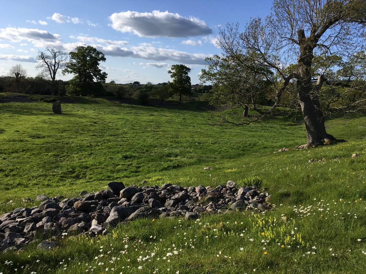 publications.naturalengland.org.uk/publication/61… 

So at Last the Nature Network Handbook is out. As one of the main Authors and Project manager I hope you like it. Shorter Practitioners Summary also available #NNEH #naturenetworks