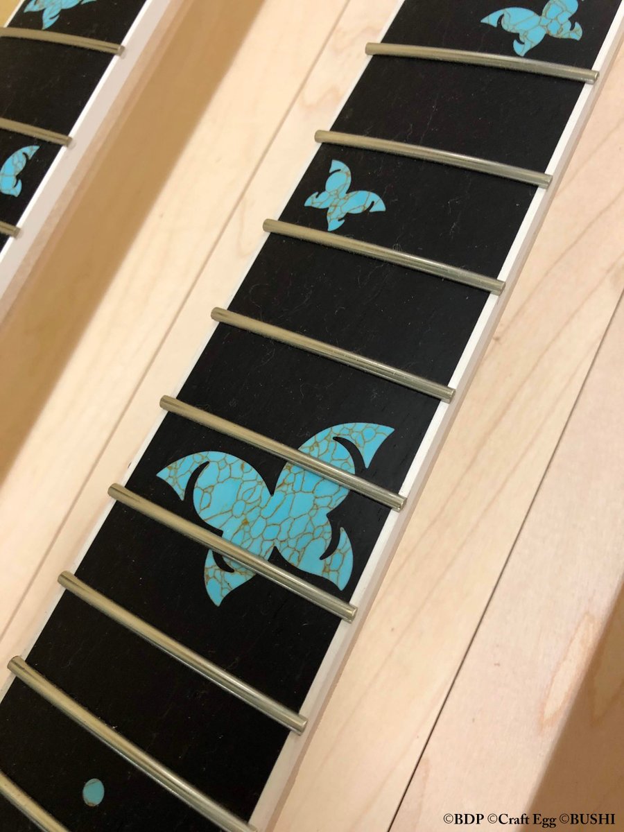 iviachupichu(マチュピチュ)FandoriProject on Twitter "ESP Guitars JAPAN