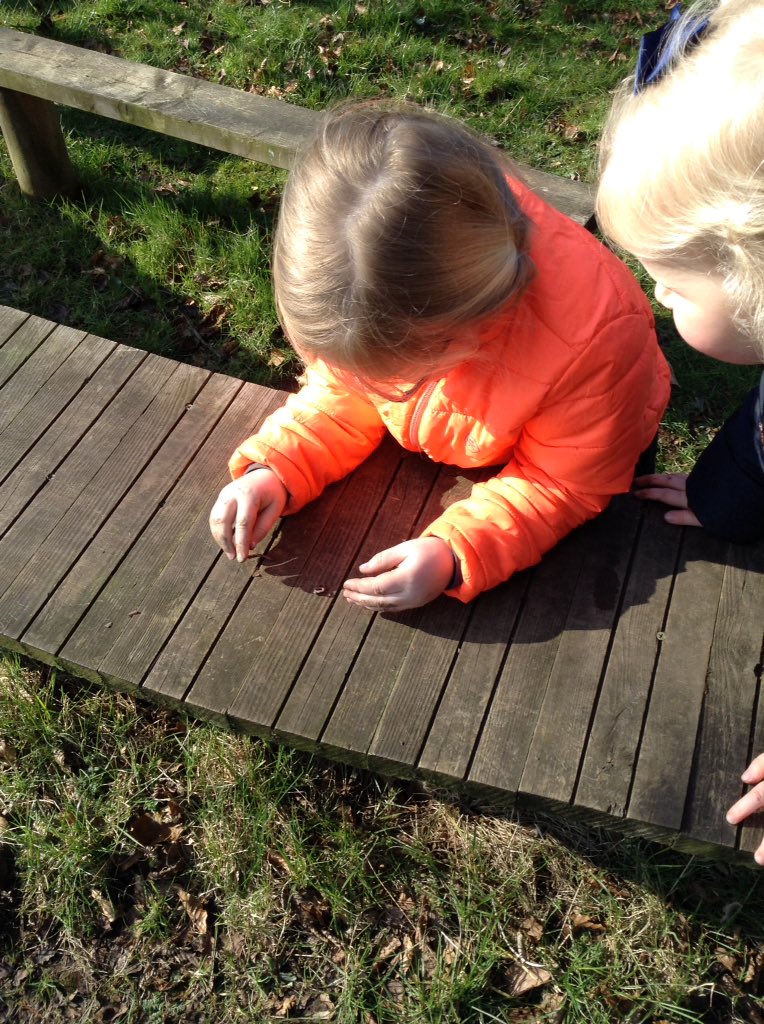 brightstarsrud's tweet photo. Forest Fun - "I think this one is the longest but I can't measure as they are too wriggly!" Fabulous learning through nature. #outdoorlearning #lotsofworms https://t.co/FX3d3r0PYX
