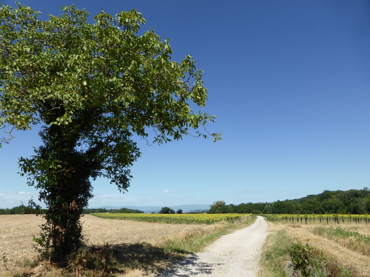 RegardVersFour's tweet photo. Le 5ème axe du programme sera de vivre avec nos voisins agriculteurs

@TwittMikler #Municipales2020 #UnNouveauRegardPourFour https://t.co/afhMaXdXsC