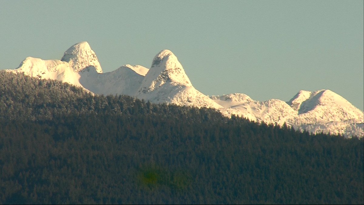 MMadryga's tweet photo. The Lions in all their glory this morning....superb! @globalbc https://t.co/dtbuM5MUpu