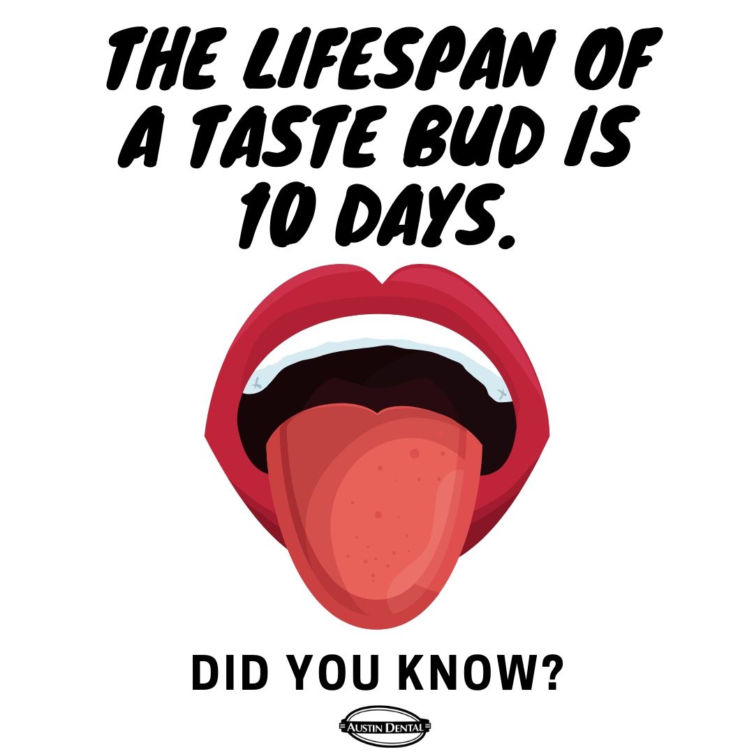 Did you know it's F A C T S   F R I D A Y ? #themoreyouknow #funfacts #factsfriday #atxdds #512dds #knowledge #tastebuds