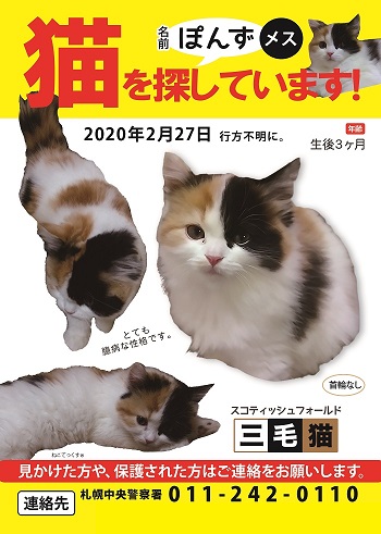 ねこてっくす 迷子猫 迷子鳥 迷子犬 迷子ペット チラシ制作 迷子猫 ぽんずちゃんを探しています 2 27北海道で迷子に 三毛猫の女の子 生後三ヶ月の子猫 首輪なし 保護して頂いている方がいらっしゃったら ご連絡頂けるとと助かります 札幌中央警察