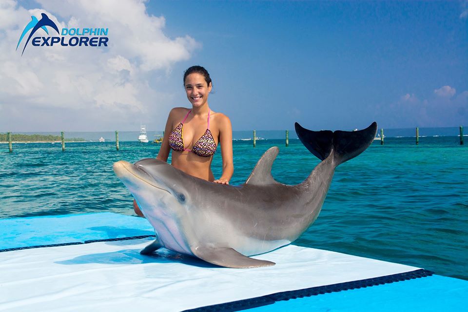 dexplorerpark's tweet photo. Today is a fantastic day in paradise¡ |Book online and receive 25% Off! https://t.co/DCbEP7gGX2
________________________________________________
!Hoy es un día fantástico en el paraíso¡ !Reserve en línea y reciba un 25% de descuento! https://t.co/pLmR8ylq0A