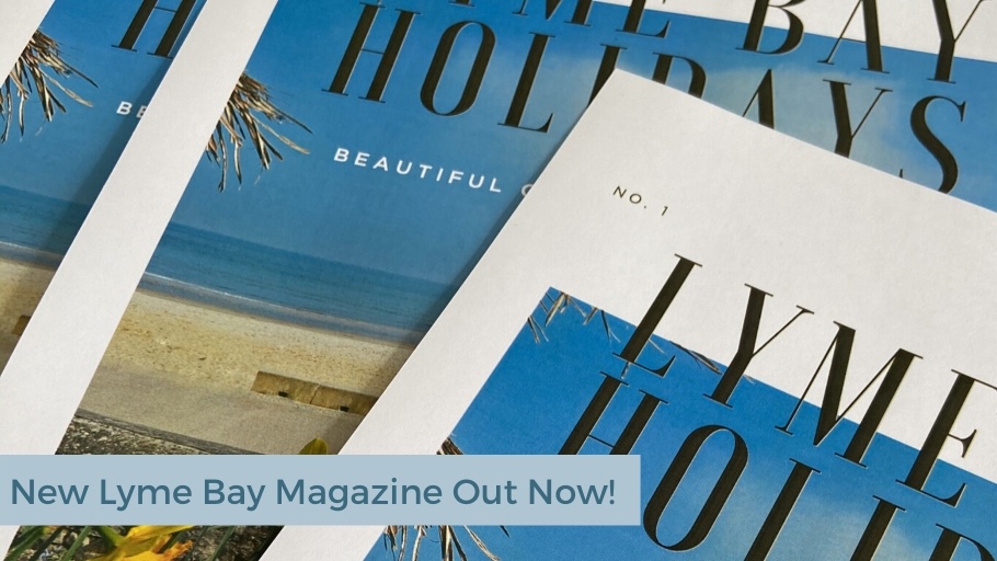 NEW MAGAZINE OUT NOW!

Our new Spring edition of the Lyme Bay magazine is out now, take a look at new properties, special offers and things to do this Easter time in Lyme Bay. 

Read it here - lymebayholidays.co.uk/wp-content/upl…

#lymebay #magazine #spring #edition #readitnow #lymebayholiday