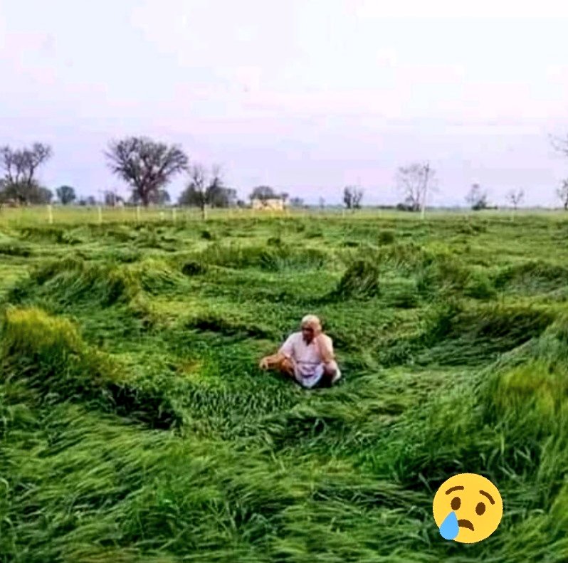 Zamidar6's tweet photo. कभी  जिया  करो  किसान  की  जिंदगी
तुम महलो में रहकर भी खुद को परेशान कहते हो
#ओलावृष्टि #Rajasthan https://t.co/ZaNAQnlQQW