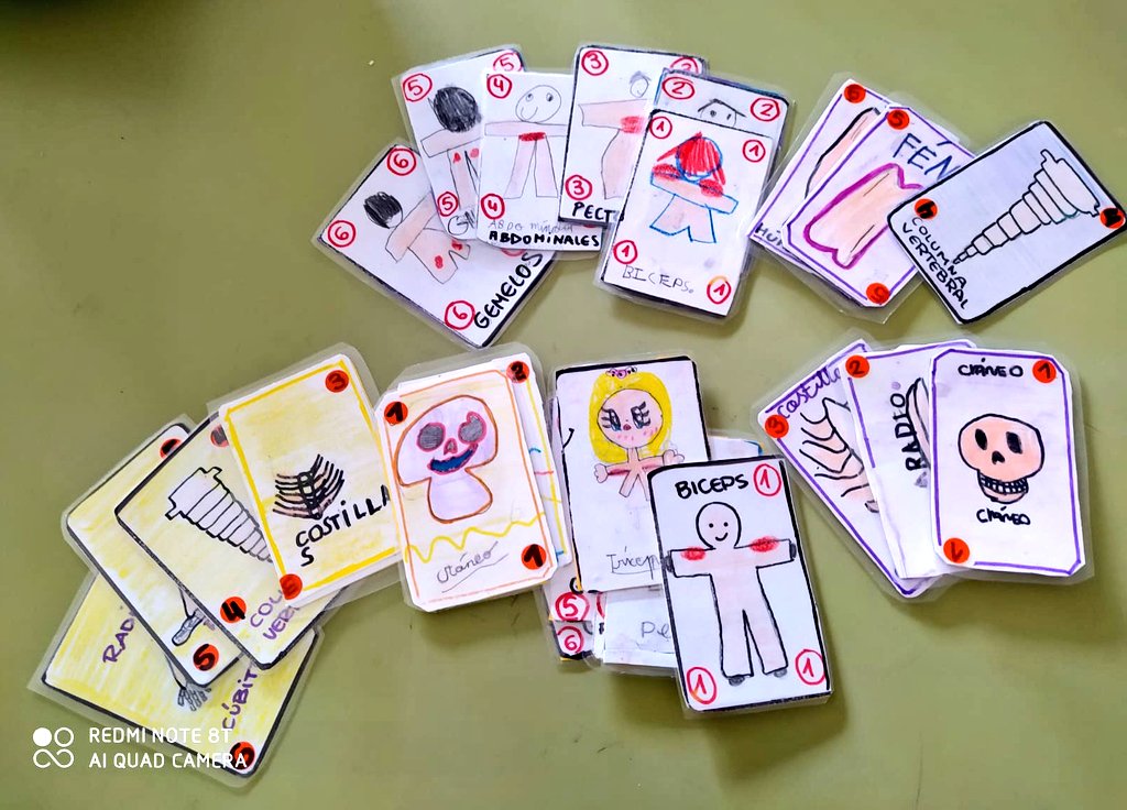 el_peralejo's tweet photo. ¿Te apuntas a jugar al #Cinquillo del cuerpo humano? ¿Sabes huesos y músculos? 💀💪🏼... pues a jugaaaaar!!! (En 2° de primaria nos atrevemos a todo🃏🃏🃏)#AprenderViviendoLasCienciasNaturales https://t.co/cgfBejbqQZ