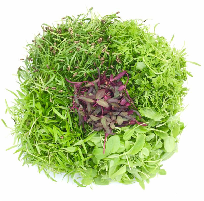 Blue Moon Acres tweet media