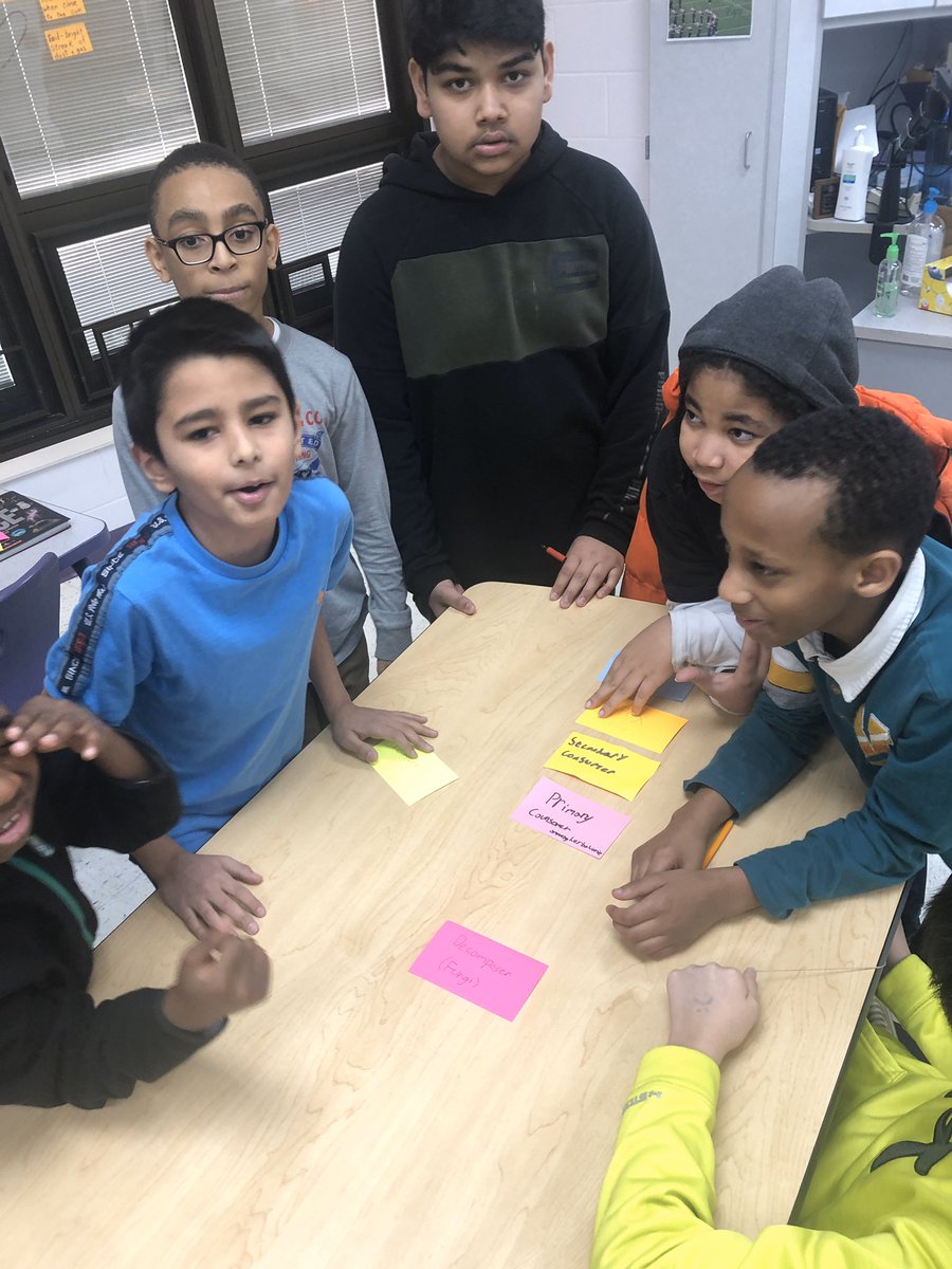 Mrsknadeau's tweet image. This week’s collaboration to model the energy pyramid.  #ecosystems #reynproud  #wrmswolves