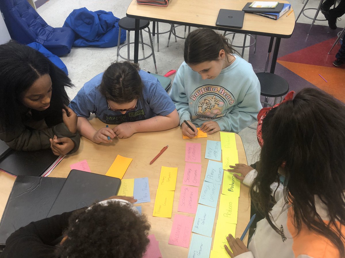 Mrsknadeau's tweet image. This week’s collaboration to model the energy pyramid.  #ecosystems #reynproud  #wrmswolves