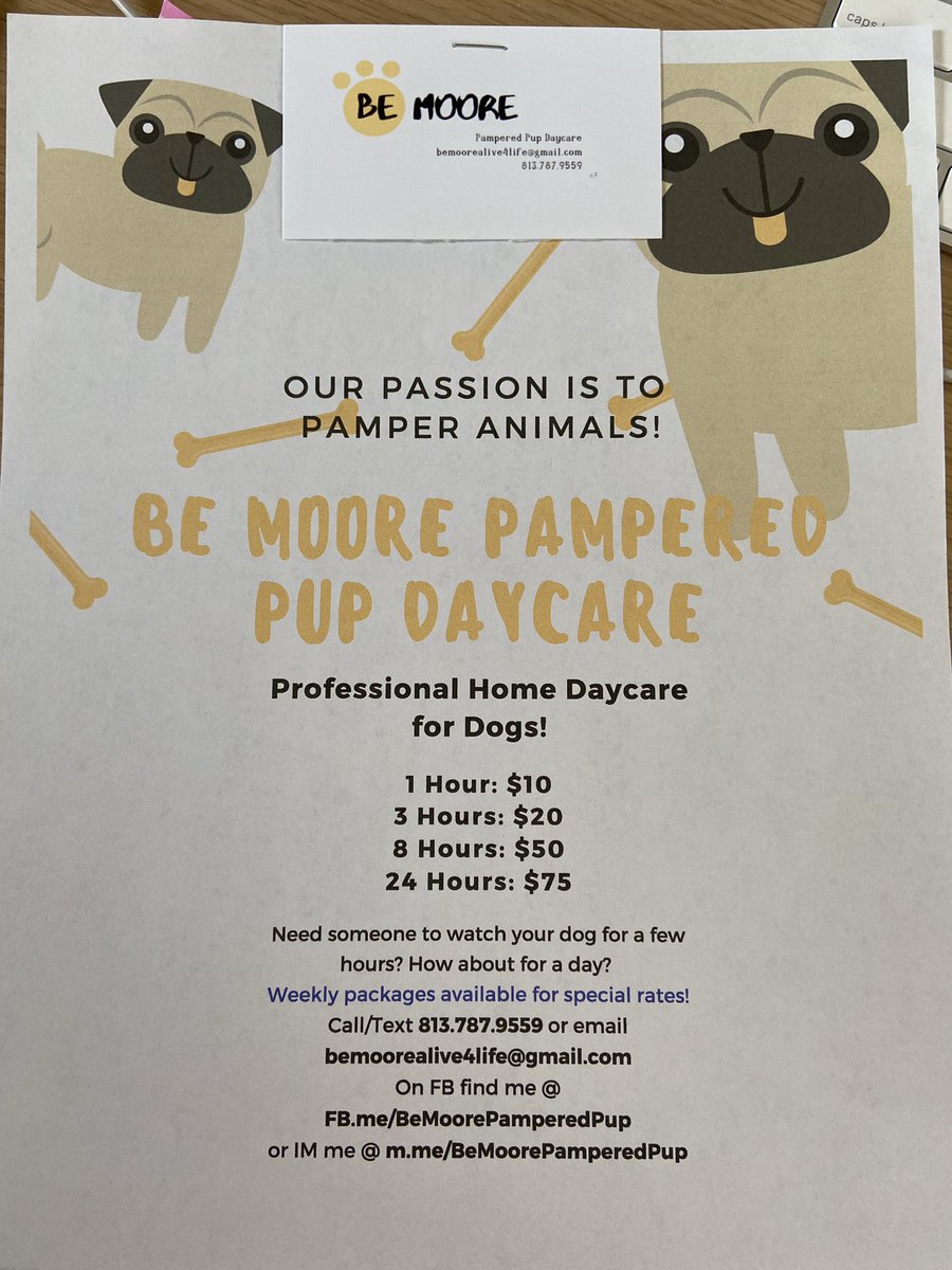 Pamper Your Pet While You Are Away!