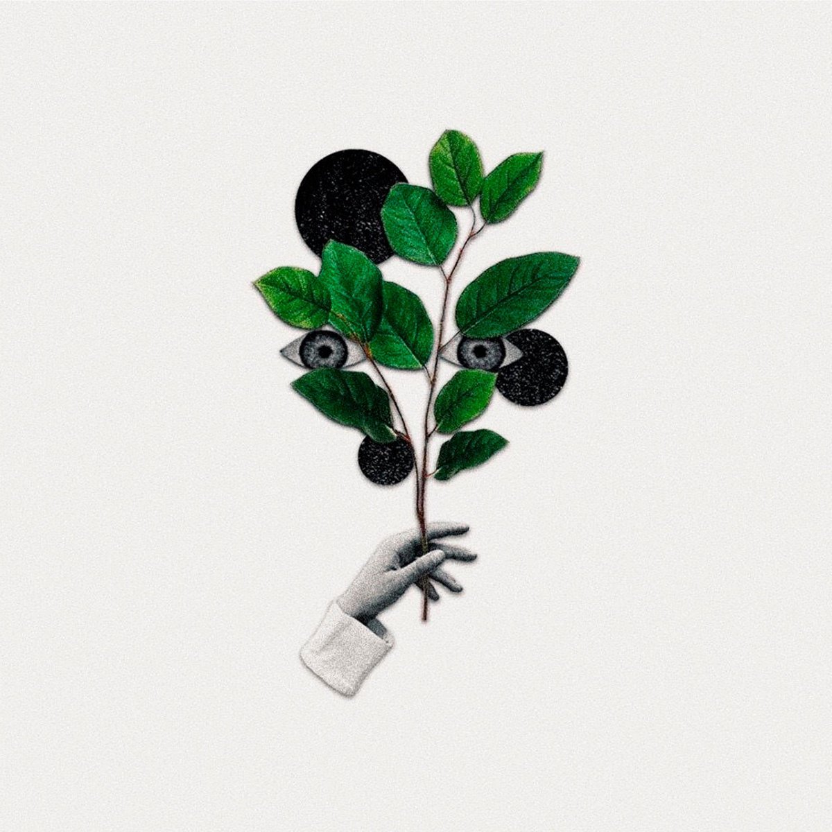 realrealclout's tweet photo. .@chasingdaze continue their excellent run of form on third single 'Bad For Me' https://t.co/cStHfFSiGq https://t.co/D2M580XahA