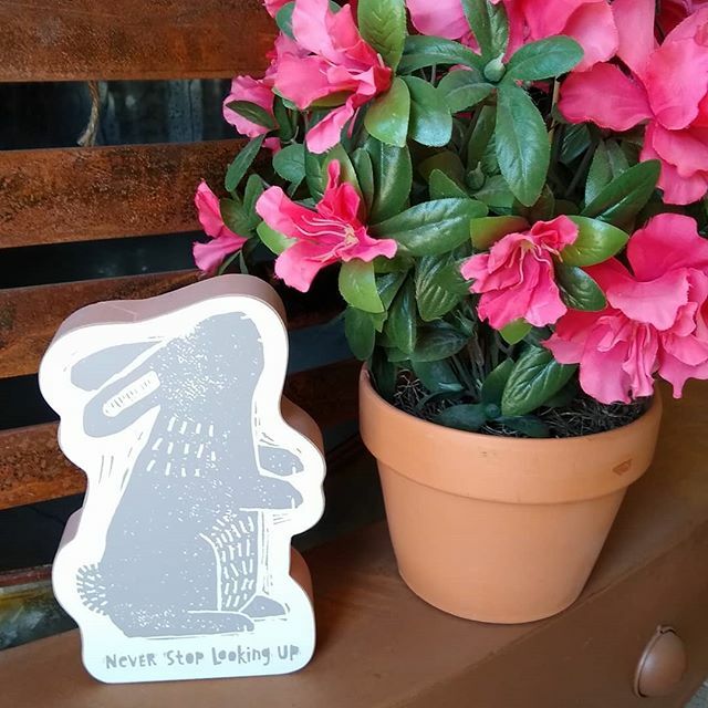 TheFunkySister's tweet photo. Stop in today for some goodies and to take advantage of our open house sales! #thefunkysister #springflowers #springtime #easter #easterbunny #neverstop #lnk #customerappreciation via hhttp://www.thefunkysister.com Instagram https://t.co/ptdAJU3kbz https://t.co/bFGoCEHSBc