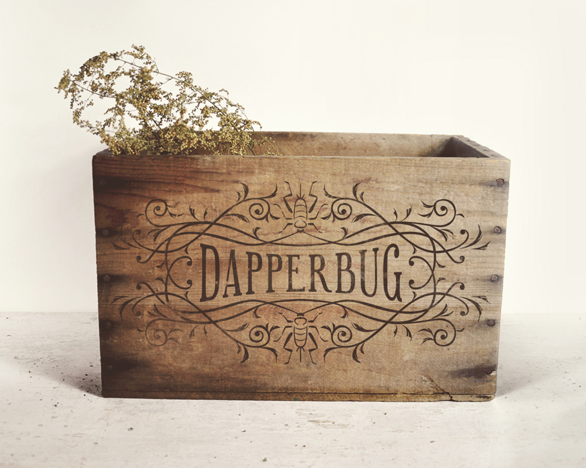 DapperBug's tweet photo. How are fancy patterns made? Check our Behance project page! https://t.co/7ZwunHwfDJ

#surfacedesign #entomology #insect #bug #insectart #scientificillustration #patterndesign #victorian #victorianbug #society6 #victoriandesign #victorianart #dapperbug #vintagedesign #typography https://t.co/zP9hCt4bNe
