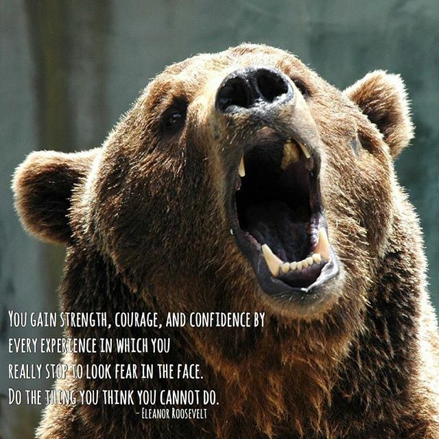 Ambition Daily tweet media