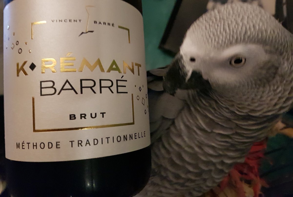 Objectif_Vin's tweet photo. 🦜 vs 🍾
Aucun doute je sais qui est le plus Barré des deux !
#vin #wine #animals
#ObjectifVin https://t.co/gxaTEhgaib