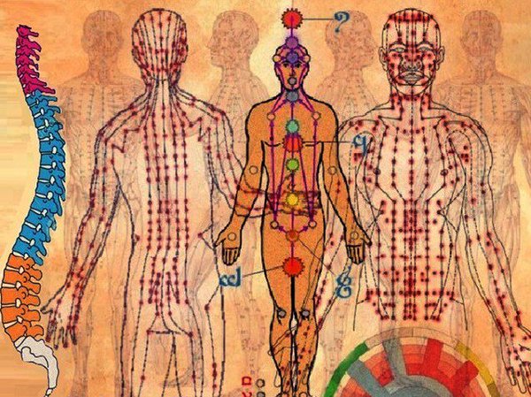 4 day embodied experimental fascia anatomy course for #yoga #pilates teachers. 20 hours CPD, Manchester. Friday 9th - Monday 12th April 2020 included. Contact us for more details