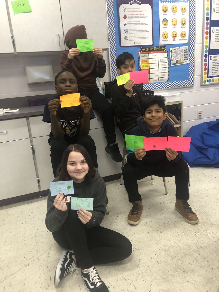 Mrsknadeau's tweet image. Student models of the energy pyramid #ecosystems #reynproud #wrmswolves