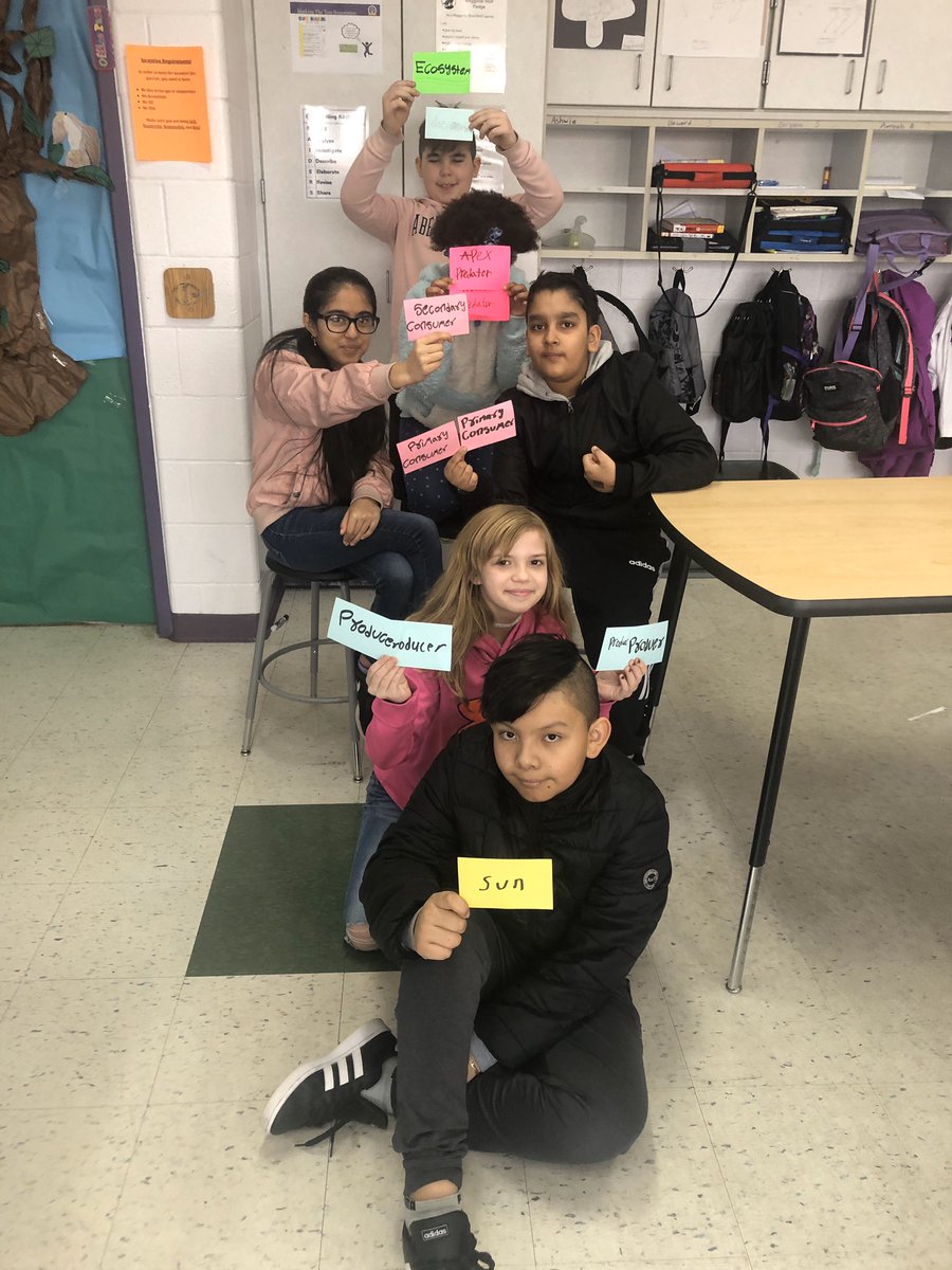 Mrsknadeau's tweet image. Student models of the energy pyramid #ecosystems #reynproud #wrmswolves