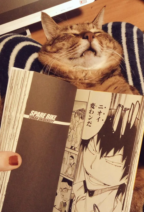 ハッピー読書タイム 