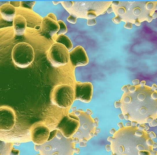 Telehealth is a game changer for the COVID 19 pandemic.  Physicians can now consult and even examine patients remotely without using scarce PPE or risking exposure and quarantine. Using remote devices like Tyto we can do a complete physical exam and determine the next best steps!