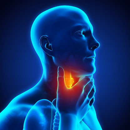 OncologyGo's tweet photo. Catch up on trends in #headandneckcancer—from #oropharyngealcancer to #HPV-associated disease—with experts from #HeadandNeck20. Live on @OncologyGo now! https://t.co/TTgmUgYari