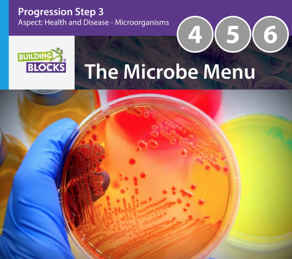 TLPWales's tweet photo. We've had some great reports on #Schools using the #BuildingBlocks #RichTask #MircrobeMenu #Investigating whether microorganisms help or harm us. #AuthenticContextForLearning #Inquiry #TakingAction #Communicating #Understandings #ConceptualDevelopment #CornoraVirus https://t.co/oa7soyv7iF