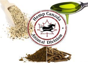 HempOutGirls's tweet photo. Hemp Fiber Benefits For Your Pets Gut and Immune Health https://t.co/BDa11jLT3l https://t.co/YfWyskgHaN