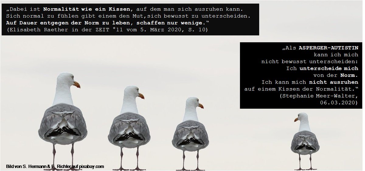 #Perspektivwechsel: Einfach mal die #Blickrichtung ändern...

#Autismus #Asperger #autistisch #Normalität #Norm #normal