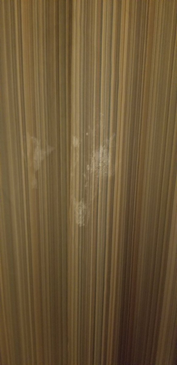FreakNationPod's tweet photo. @dadwroteaporno got to our hotel room last night and my wife tells me not to touch the curtains... is this where Spooner wiped his "sticky head" 😬😬😬 https://t.co/QlLNPHCHZQ