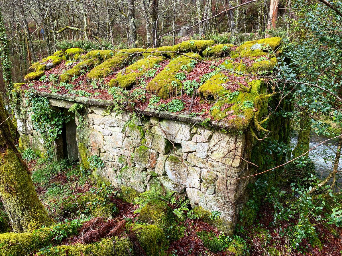 guiategalicia's tweet photo. 👣 ¡La #Ruta de los #Molinos de #Calvelle de #Aguasantas es increíble!Un viaje de naturaleza entre sendas, ríos, molinos ... ¡¡y un paisaje de primera!! 😉  ❗️https://t.co/IX6saoj7RM❗️
@turisriasbaixas @SESEIXA @Turgalicia @Petiscosgalegos @GaliciaEscapada @loves_galicia https://t.co/RDTj4jcgFn